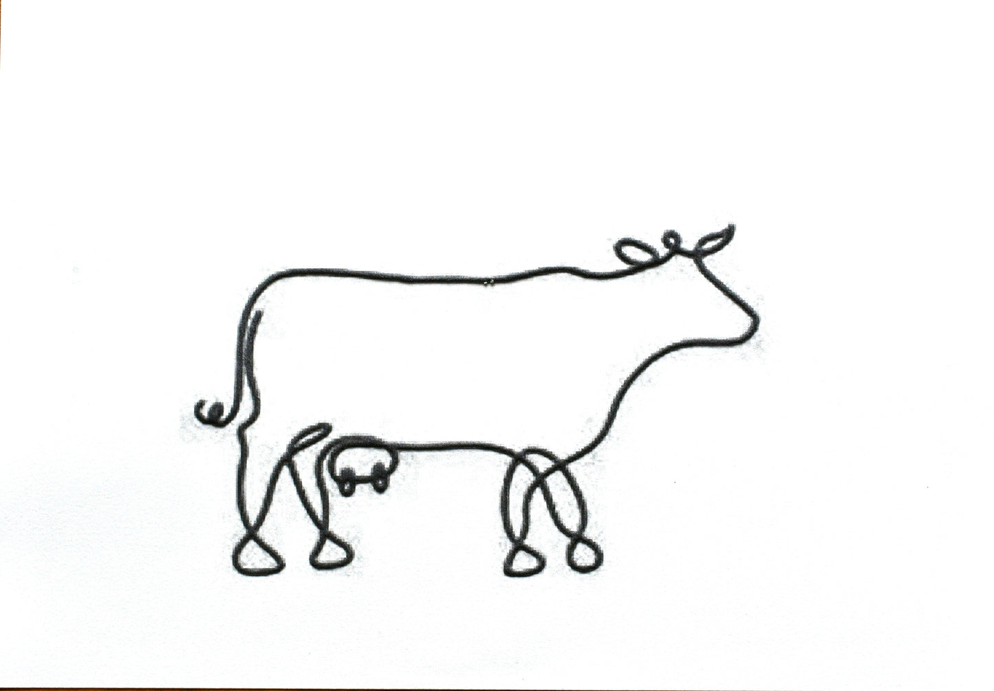 Cow