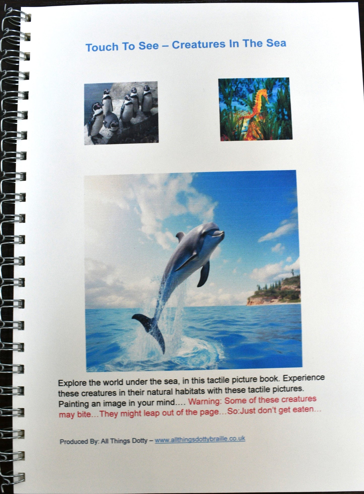 Braille Touch to See - Creatures in the Sea