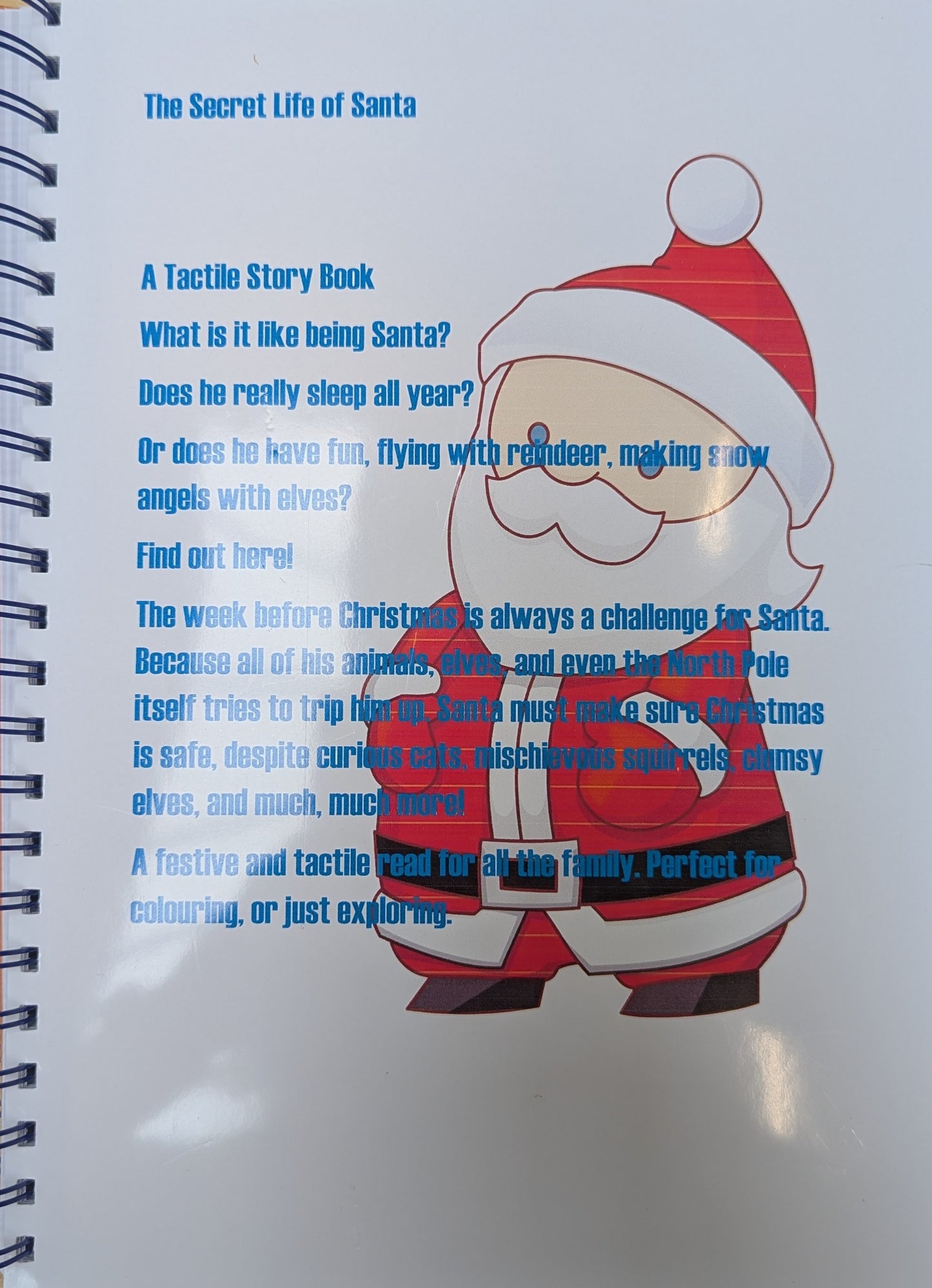 Braille story and picture book cover with a cartoon Santa Claus illustration and blue text on a white background: "The secret life of Santa: a tactile story book"
