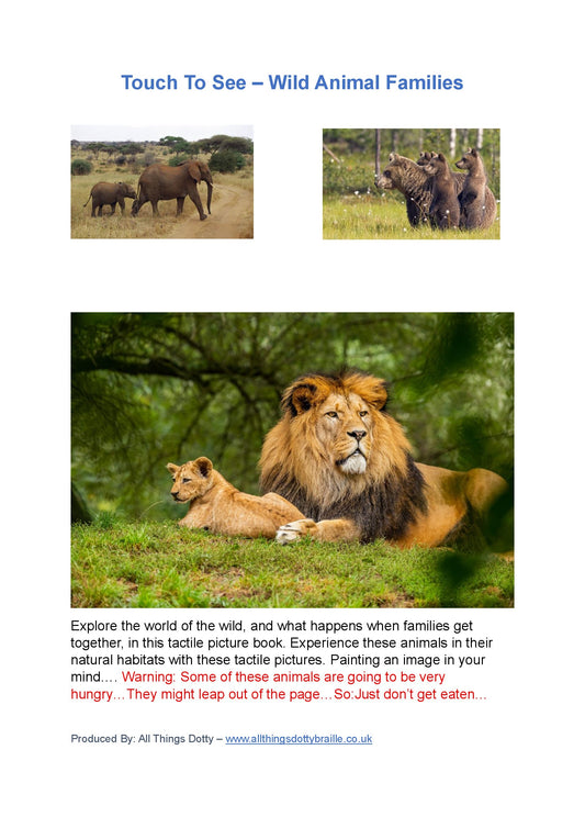Braille Touch to Sea - Wild Animal Families