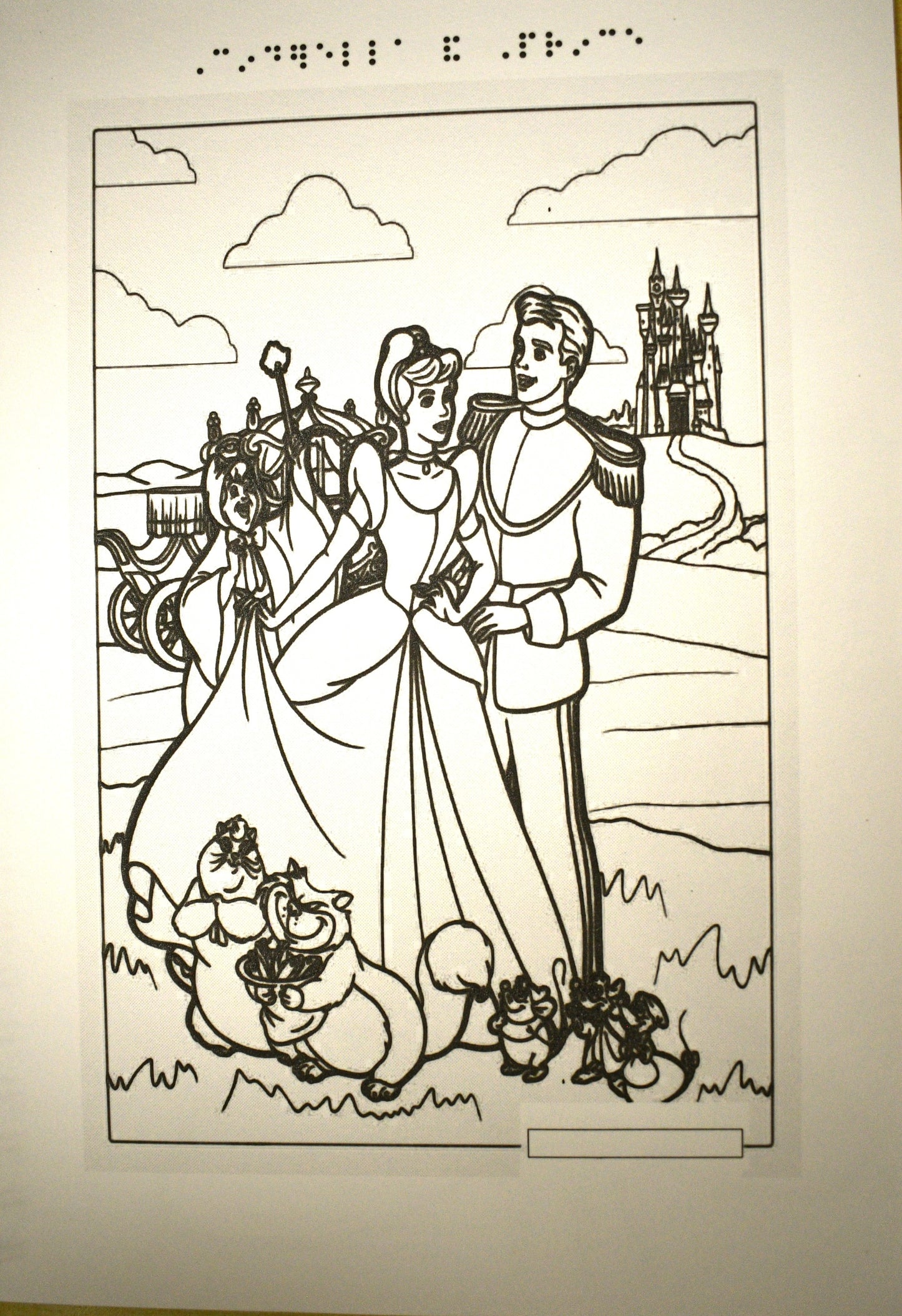 Braille Fairy Tale Colouring Book