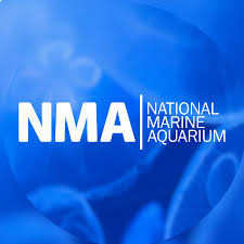 National Marine Aquarium logo on a blue background